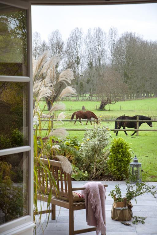 Les Buis De Boscherville Gite Hénouville Exteriér fotografie